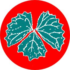 Logotype for Vanillacash